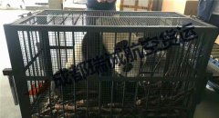 成都至深圳活體托運