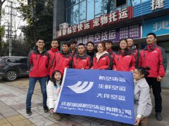 公司資料