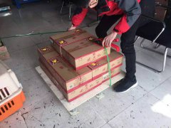 成都至南京東方紅酒的發(fā)運(yùn)