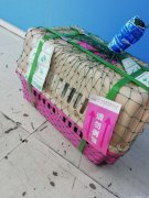 成都至長春貓咪的托運