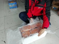 成都至贛州雞腎的發運